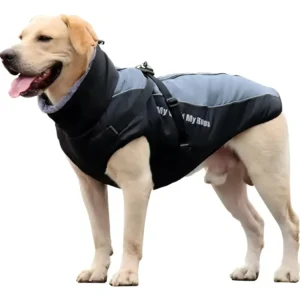 Chaqueta Impermeable Outdoor