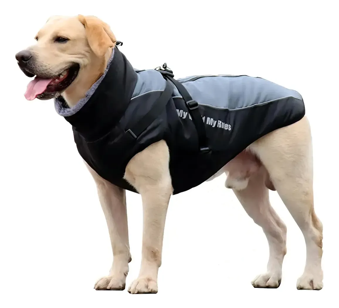 Chaqueta Impermeable Outdoor