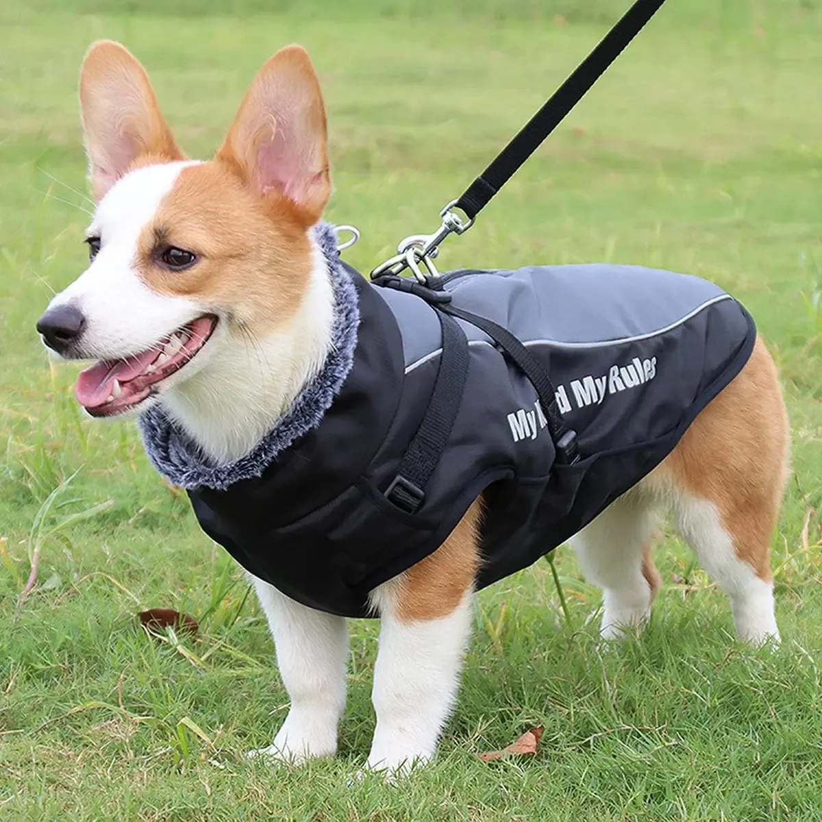 Chaqueta Impermeable Outdoor - Imagen 4
