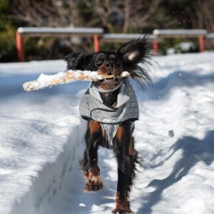 Chaleco Polar para Perros