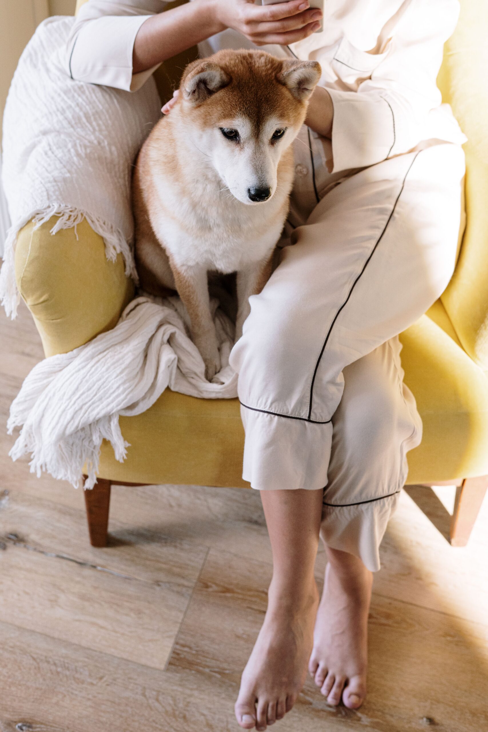 Pijama para Perros
