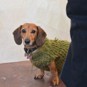 Suéter Tejido para Perros
