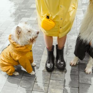 Chaqueta Impermeable