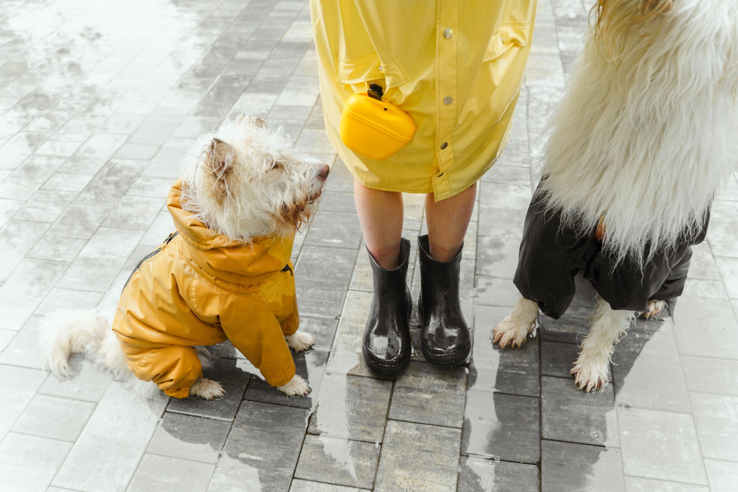 Chaqueta Impermeable