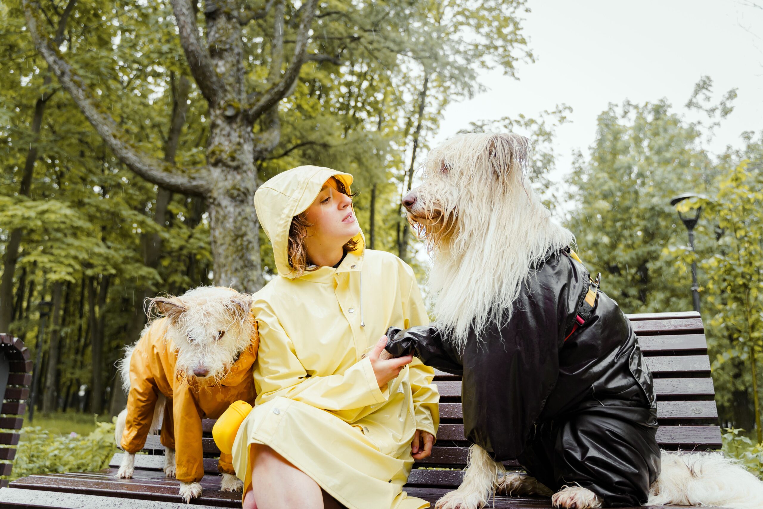 Chaqueta Impermeable
