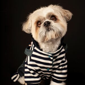 Polera Rayada para Perros