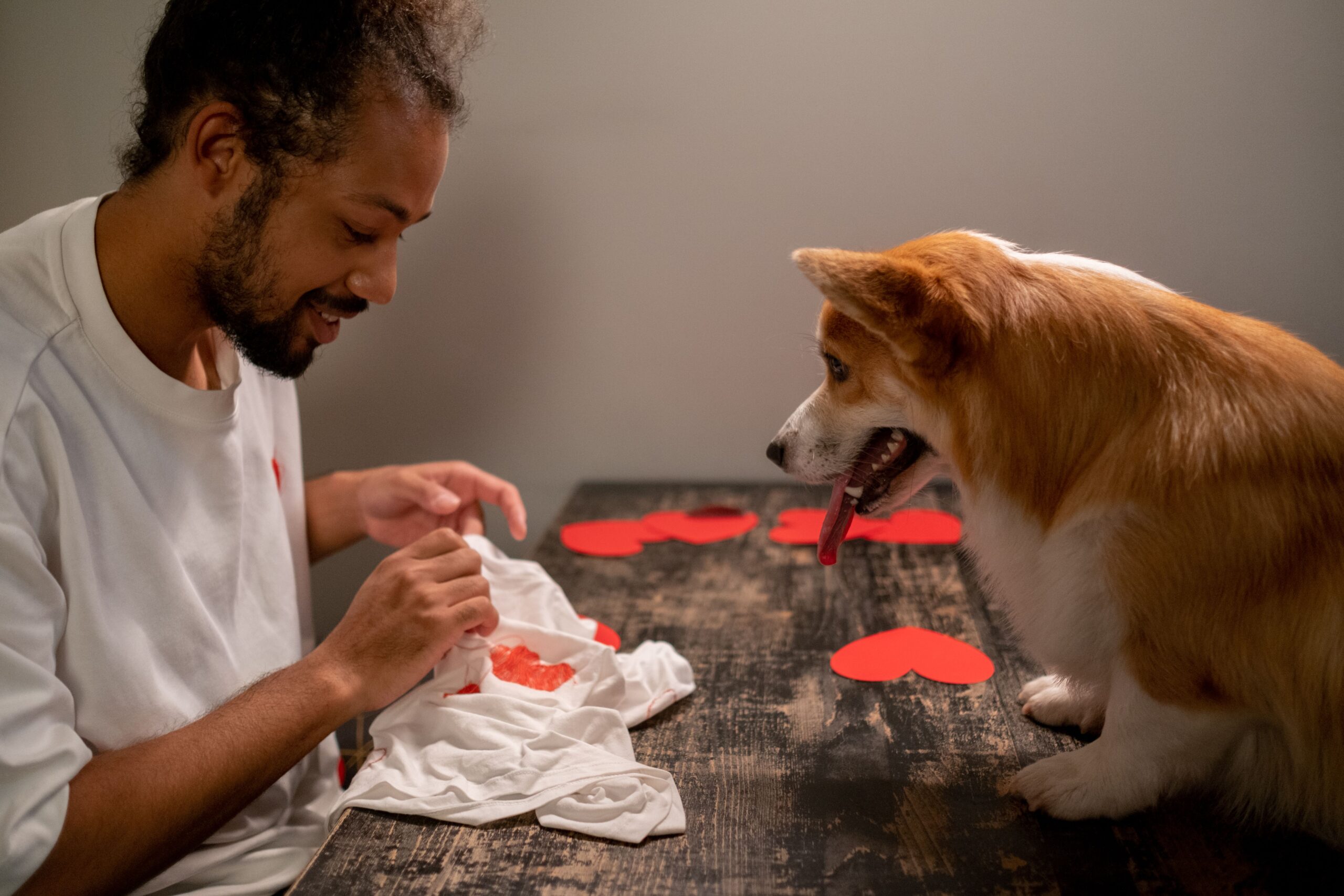 Polera Deportiva para Perros